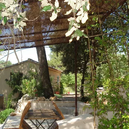Millettia *